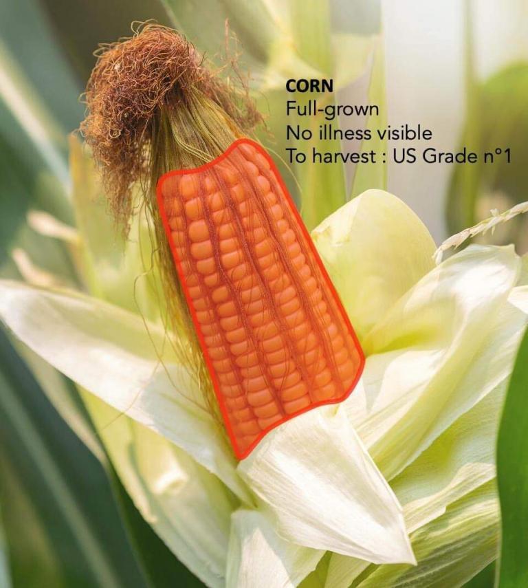 labelled image in agriculture