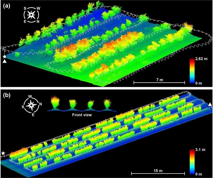 Point cloud data visualization: LiDAR