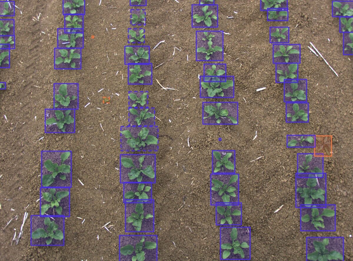 Champ agricole annoté par les équipes de People for AI