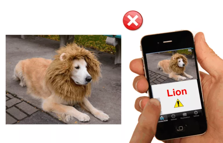 Lire la suite à propos de l’article Précision vs Performance : comment optimiser l’annotation pour vos modèles IA