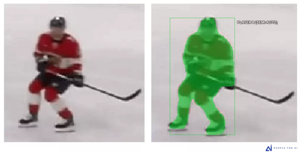 SAM Segmentation issue on a blurry image despite high color contrast.