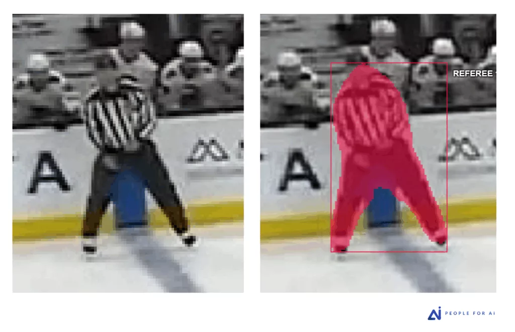 SAM Segmentation failure on a blurry image and low contrast.