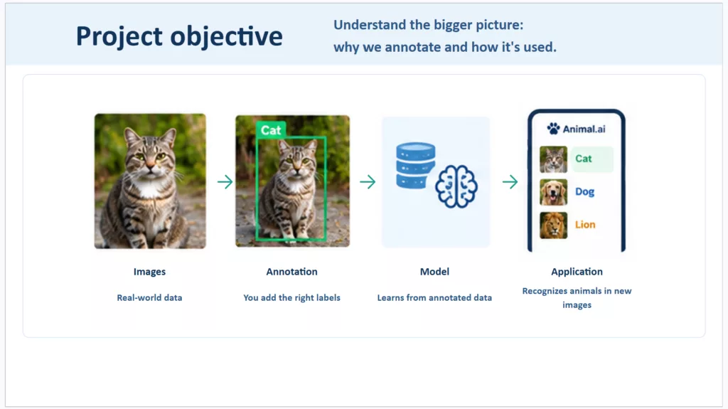 Diagram showing the four-stage annotation project pipeline: images, annotation, model, application