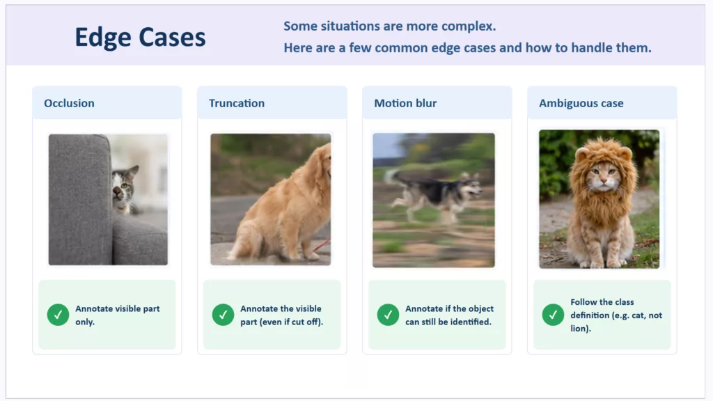 Presentation of 4 edge cases : occlusion, truncation, motion blur and ambiguous case