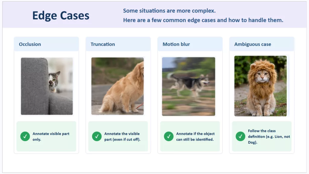 Exemples de cas limites en annotation de données