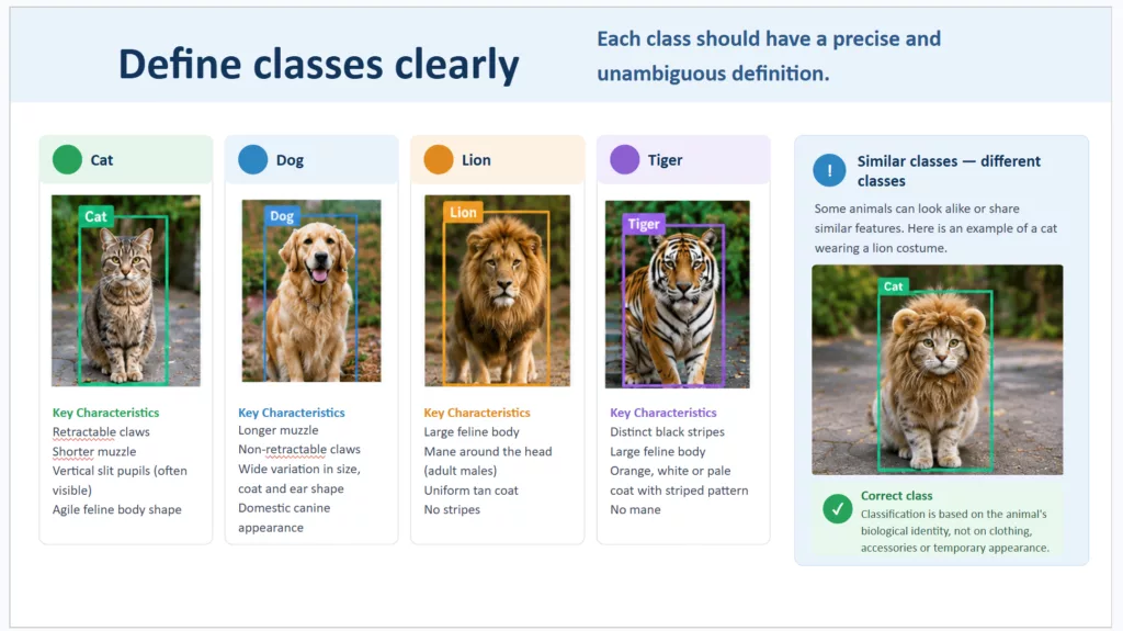 Example from a data annotation guide showing animal class definitions and a similar-looking edge case where a cat wearing a lion costume is still labeled as Cat according to the annotation rules.